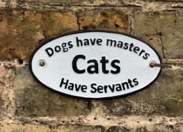 cats have servants sign