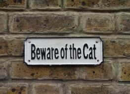 Rectangular &quot;Beware of the Cat&quot; sign