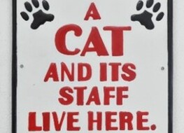 cat &amp; staff sign