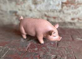 pink pig bank